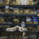 Illustration for article titled This Warehouse Holds All Illegal Wildlife Goods Confiscated In The U.S.